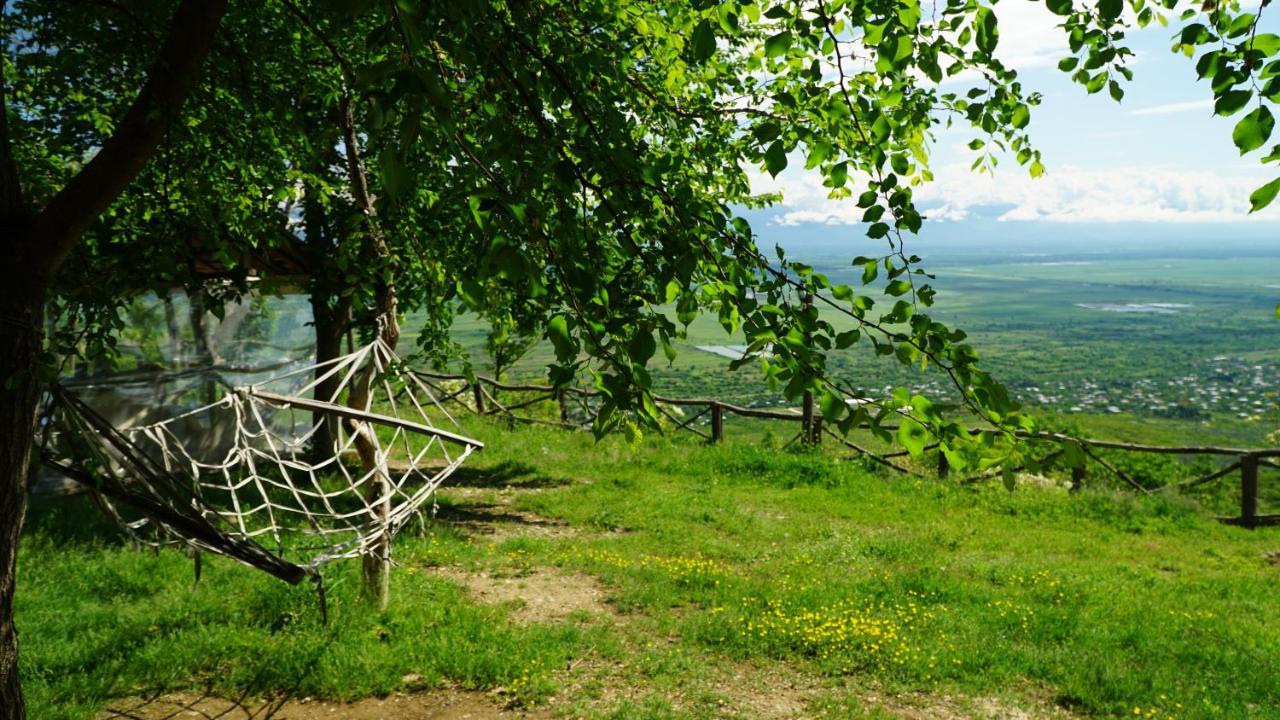 Tsanava'S Cottage In Signagi Buitenkant foto