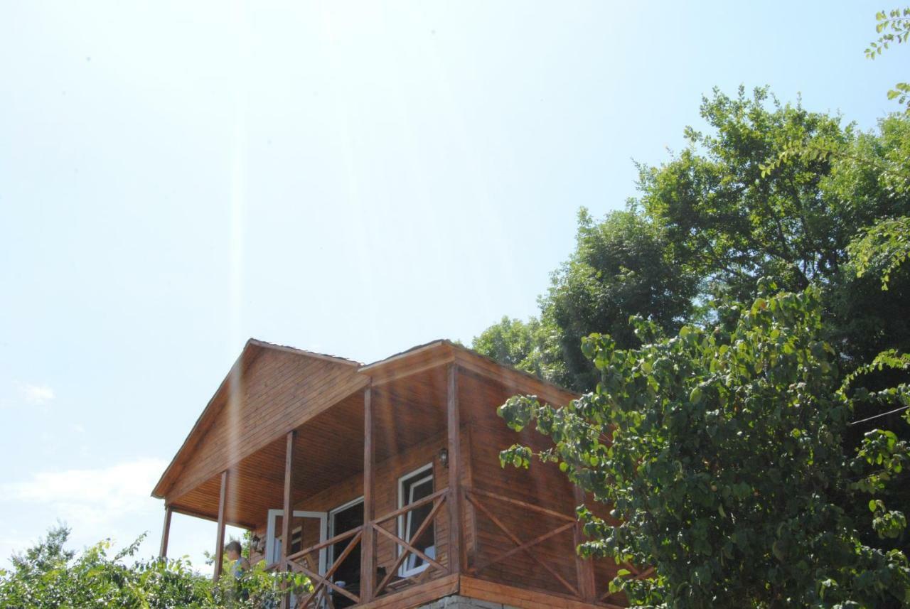 Tsanava'S Cottage In Signagi Buitenkant foto